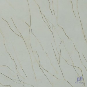 Gạch 80X80 lát nền nhập khẩu HCT88003J