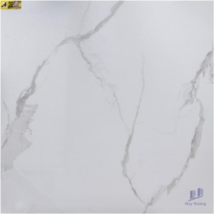 Gạch 80X80 lát nền nhập khẩu W1667PM