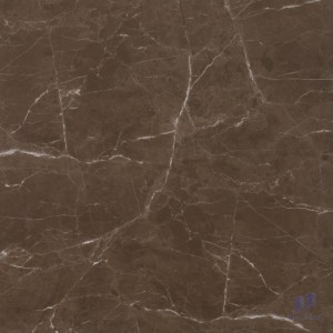 Gạch 80X80 lát nền nhập khẩu RM12088