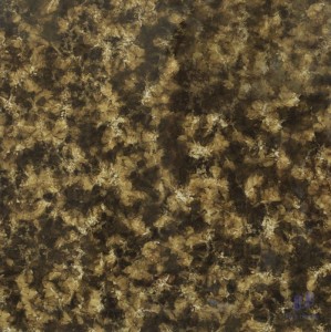 Gạch 80X80 lát nền nhập khẩu HCT8812