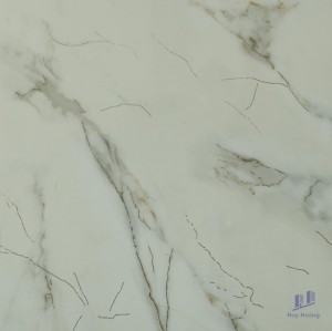 Gạch 80X80 lát nền nhập khẩu HCT88005