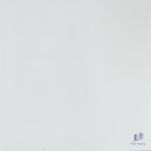 Gạch vi tinh ngọc thạch 100x100 Q1000