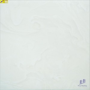 Gạch vi tinh ngọc thạch 100x100 HCT10108