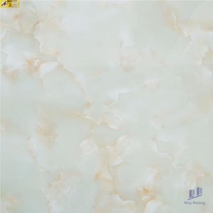 Gạch vi tinh ngọc thạch 100x100 HCT10111