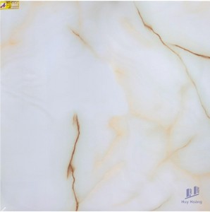 Gạch vi tinh ngọc thạch 100x100 HCT10106