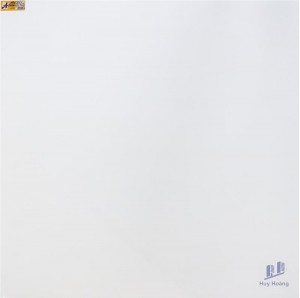 Gạch vi tinh ngọc thạch 100x100 Q10000