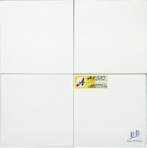 GẠCH BÔNG 20x20 A2010