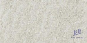 Gạch Taicera 30x60 G63763