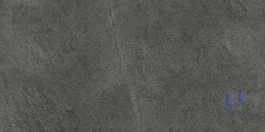 Gạch Taicera 30x60 G63764