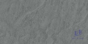 Gạch Taicera 30x60 G63768