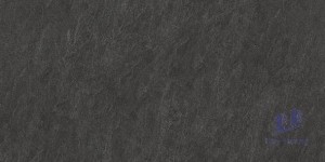 Gạch Taicera 30x60 G63769