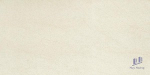 Gạch Taicera 30x60 G63913