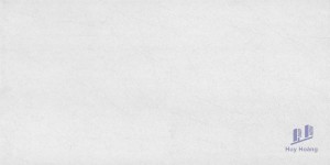 Gạch Taicera 30x60 G63915