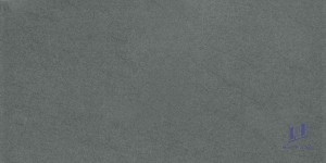 Gạch Taicera 30x60 G63918