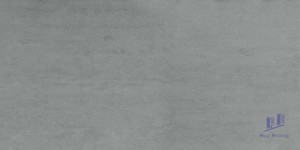 Gạch Taicera 30x60 G63937