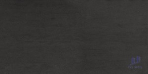 Gạch Taicera 30x60 G63939