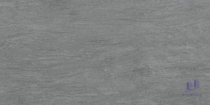 Gạch Taicera 30x60 G63988