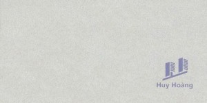 Gạch Taicera 30x60 G63025