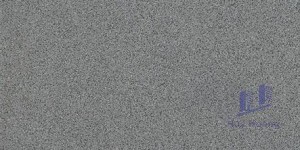 Gạch Taicera 30x60 G63028