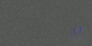 Gạch Taicera 30x60 G63029