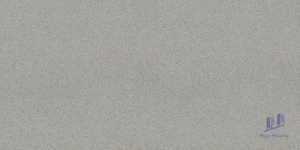 Gạch Taicera 30x60 G63048