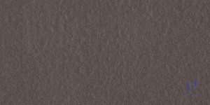 Gạch Taicera 30x60 G63521