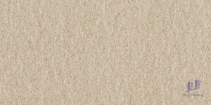 Gạch Taicera 30x60 G63522