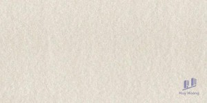 Gạch Taicera 30x60 G63525