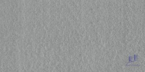 Gạch Taicera 30x60 G63528