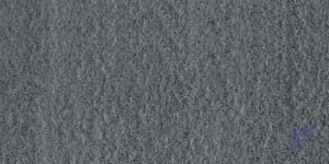 Gạch Taicera 30x60 G63529