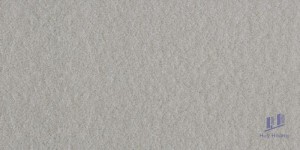 Gạch Taicera 30x60 G63548