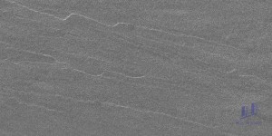 Gạch Taicera 30x60 G63428