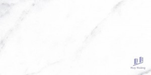 Gạch Taicera 30x60 W63032