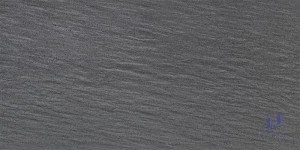 Gạch Taicera 30x60 G63229