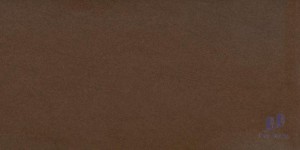 Gạch Taicera 30x60 G63911