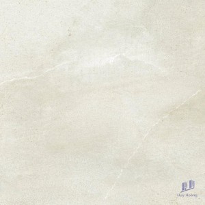 Gạch Taicera 60x60 G6873M2