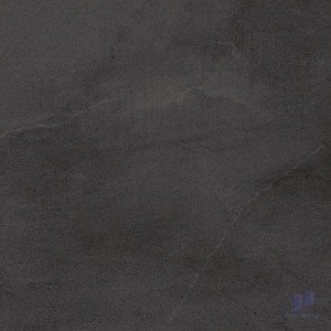 Gạch Taicera 60x60 G6874M2J