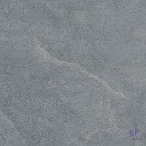 Gạch Taicera 60x60 G6877M2