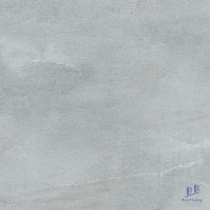 Gạch Taicera 60x60 G6878M2