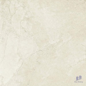 Gạch Taicera 60x60 G68813