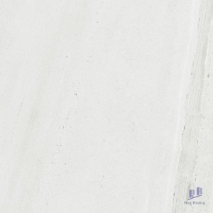 Gạch Taicera 60x60 GP68065