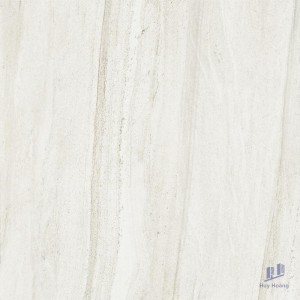 Gạch Taicera 60x60 G68093