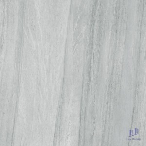 Gạch Taicera 60x60 G68094