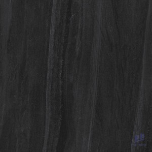 Gạch Taicera 60x60 G68099