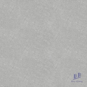 Gạch Taicera 60x60 G68057