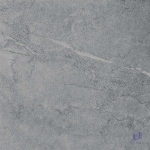 Gạch Taicera 60x60 G68818