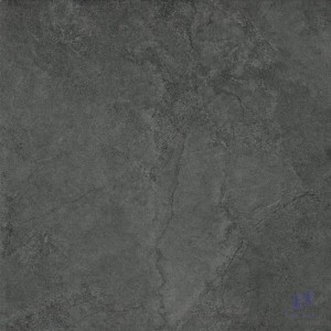 Gạch Taicera 60x60 G68819