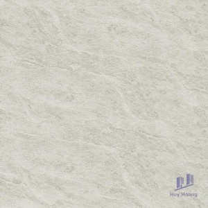 Gạch Taicera 60x60 G68763