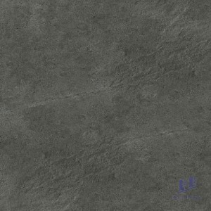 Gạch Taicera 60x60 G68764