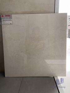 Gạch Taicera 60x60 GS68845